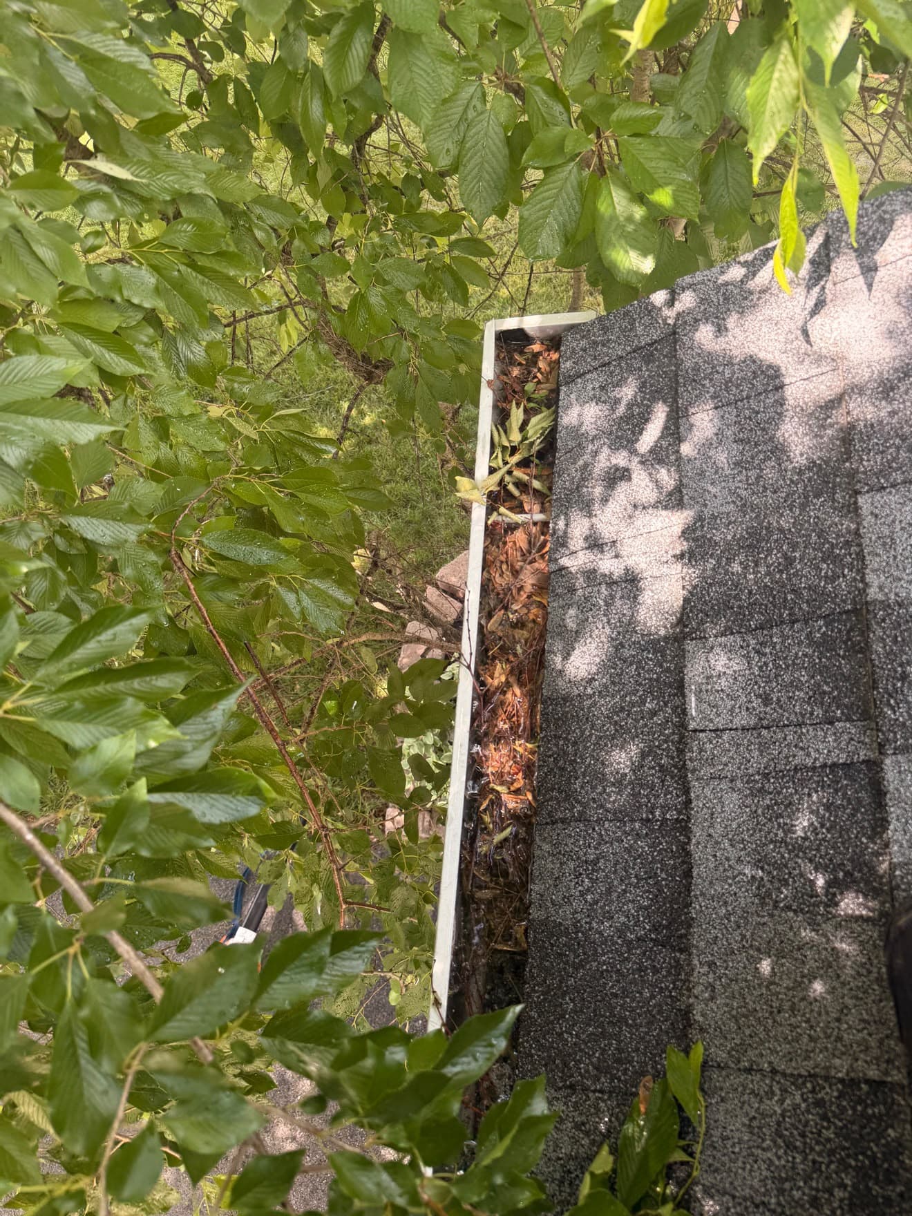 Gutter cleaning — before