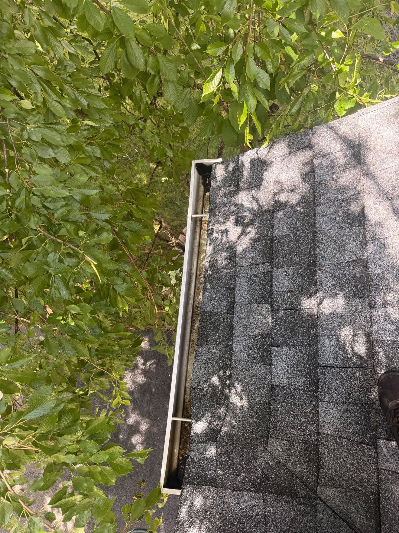 Gutter cleaning — after